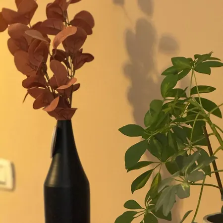 Apartment Verdi *